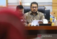 Teuku Riefky Harsa (Antara Foto)