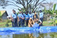 kegiatan penebaran ribuan benih ikan nila di kolam budidaya di lahan ketahanan pangan Lanud Husein Sastranegara