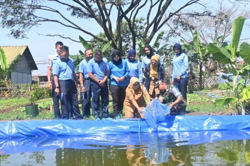 kegiatan penebaran ribuan benih ikan nila di kolam budidaya di lahan ketahanan pangan Lanud Husein Sastranegara