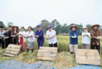 Wamendagri menghadiri acara Panen Raya di Agro Edu Wisata Organik (AEWO)