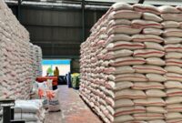Persediaan beras di gudang Bulog terus meninggi sejak indonesia  berhenti impor.(Istimewa)