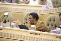 Wakil Menteri Dalam Negeri (Wamendagri) Ribka Haluk