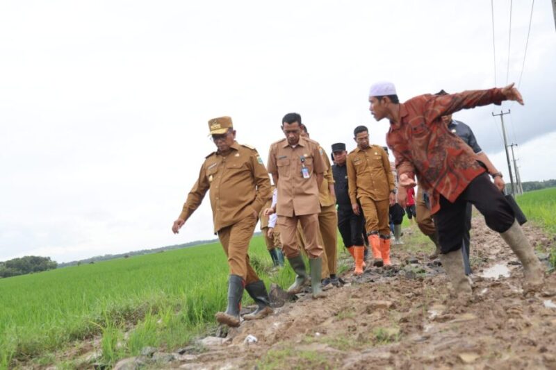 Gubernur Banten Andra Soni meninjau calon lokasi yang akan dijadikan percontohan pelaksanaan program Jalan Usaha Tani 