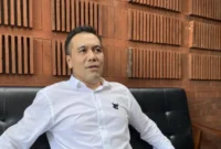 Staf Khusus Gub/Wagu DKI Cyril Rauol Hakim