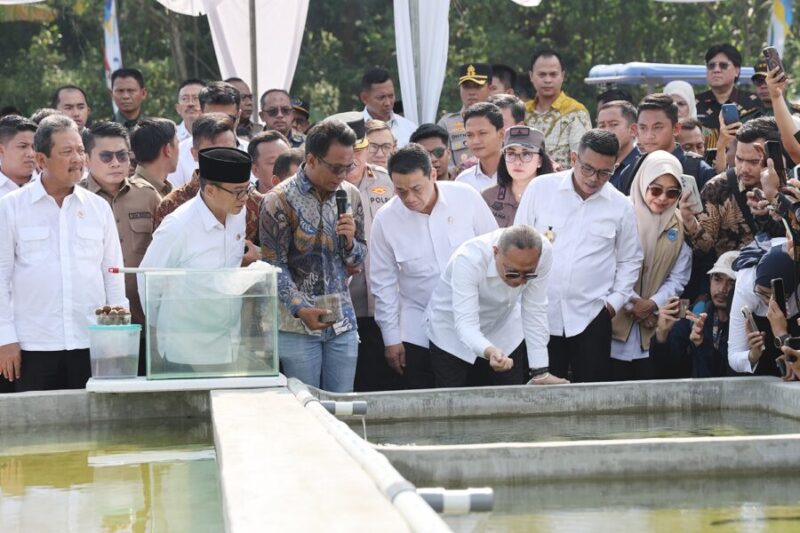 Gubernur Banten Andra Soni serta beberapa menteri dan wakill menteri kabinet merah putih tengah melakukan peninjauan ke kolam budidaya ikan di Pandeglang