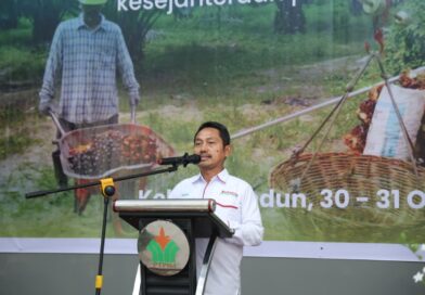 Asosiasi Petani Apresiasi Langkah Holding Perkebunan Nusantara Melalui PalmCo dalam Perbaikan Tata Kelola Kemitraan Sawit
