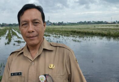 Sawah Inpari 32 dan Padi Ketan di Kudus Terancam Rusak Akibat Banjir