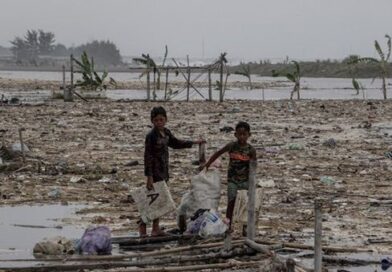 Pemulihan Sektor Perikanan Budidaya Jadi Prioritas Pascabencana Sumatera Pemulihan Sektor Perikanan Budidaya Jadi Prioritas Pascabencana Sumatera