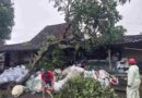 Angin Kencang dan Hujan Lebat Landa Sleman, Pohon Tumbang Timpa Fasilitas Umum