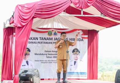 Andra Soni Dorong Banten Jadi Sentra Produksi Jagung Nasional