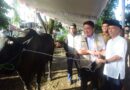 Gubernur Herman Deru Pastikan Bantuan Sapi Kurban Presiden Tepat Sasaran bagi Mustahik