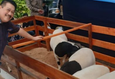 Program Kurban UPZ IKA Unpad Dorong Pemberdayaan Peternak Domba di Jawa Barat