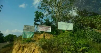 Anak Gajah Terluka Akibat Jerat, Geopix Serukan Tanggung Jawab Michelin Lindungi Alam