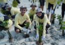 PHI Ambil Peran dalam Pemulihan Ekosistem Pesisir di Pulau Pari PHI Ambil Peran dalam Pemulihan Ekosistem Pesisir di Pulau Pari