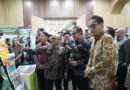 APEKSI Jadi Momentum, Wamendagri Bima Ajak Kota Bangun Ketahanan Pangan Berkelanjutan