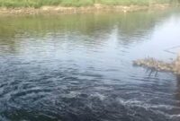 Sungai Cisadane