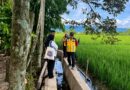 Musim Tanam Dimulai, Pemkab Nagan Raya Kebutan Pemulihan Sawah Terdampak