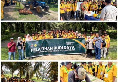 BPDP Dorong Pekebun Sawit Labusel Naik Kelas Lewat Peningkatan Kompetensi BPDP Dorong Pekebun Sawit Labusel Naik Kelas Lewat Peningkatan Kompetensi