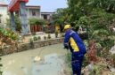 Tim Dinas Lingkungan Hidup (DLH) Kota Bekasi melakukan pemeriksaan lapangan ke lokasi usaha restoran serta pengambilan sampel air permukaan di Sungai Kali Abang 2, Perwira Sari, Kecamatan Bekasi Utara, terkait pengelolaan air limbah domestik. (Foto: Diskominfostandi)