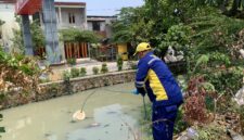 Tim Dinas Lingkungan Hidup (DLH) Kota Bekasi melakukan pemeriksaan lapangan ke lokasi usaha restoran serta pengambilan sampel air permukaan di Sungai Kali Abang 2, Perwira Sari, Kecamatan Bekasi Utara, terkait pengelolaan air limbah domestik. (Foto: Diskominfostandi)