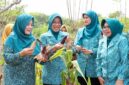 Tinawati Andra Soni (kedua kiri) memperlihatkan hasil panen jagung pulut bersama pengurus PKK di pekarangan