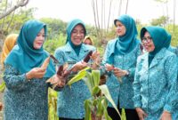 Tinawati Andra Soni (kedua kiri) memperlihatkan hasil panen jagung pulut bersama pengurus PKK di pekarangan