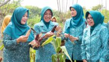 Tinawati Andra Soni (kedua kiri) memperlihatkan hasil panen jagung pulut bersama pengurus PKK di pekarangan