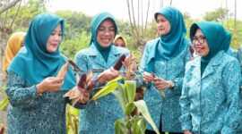Tinawati Andra Soni (kedua kiri) memperlihatkan hasil panen jagung pulut bersama pengurus PKK di pekarangan