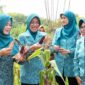 Tinawati Andra Soni (kedua kiri) memperlihatkan hasil panen jagung pulut bersama pengurus PKK di pekarangan