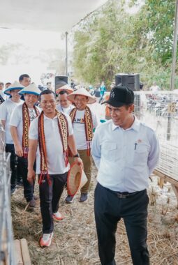 berita-rekomendasi-foto