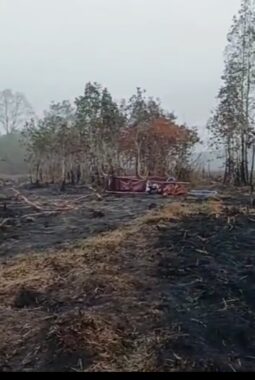 berita-rekomendasi-foto